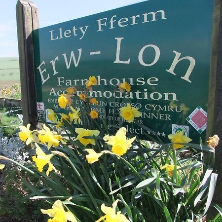 Erw-Lon Farm Bed & Breakfast Pontfaen Екстериор снимка
