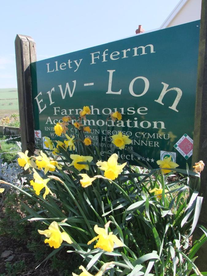 Erw-Lon Farm Bed & Breakfast Pontfaen Екстериор снимка