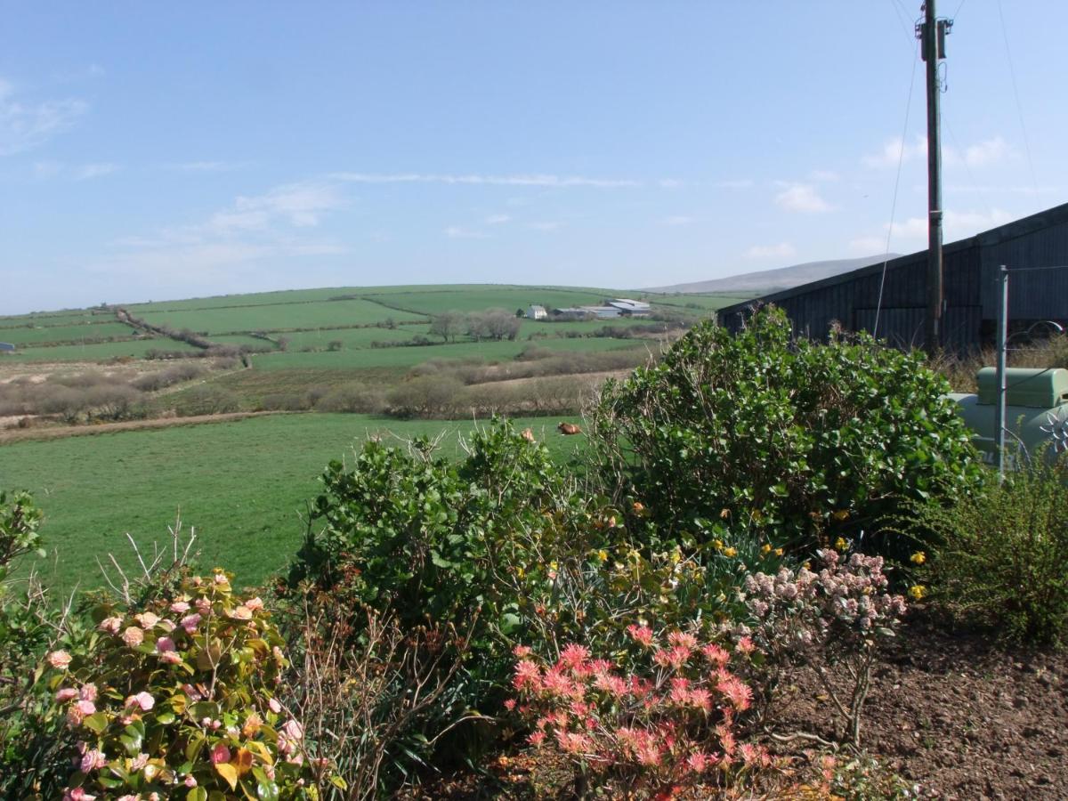 Erw-Lon Farm Bed & Breakfast Pontfaen Екстериор снимка